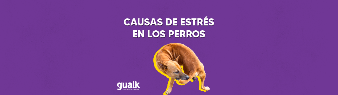 Perros estresados