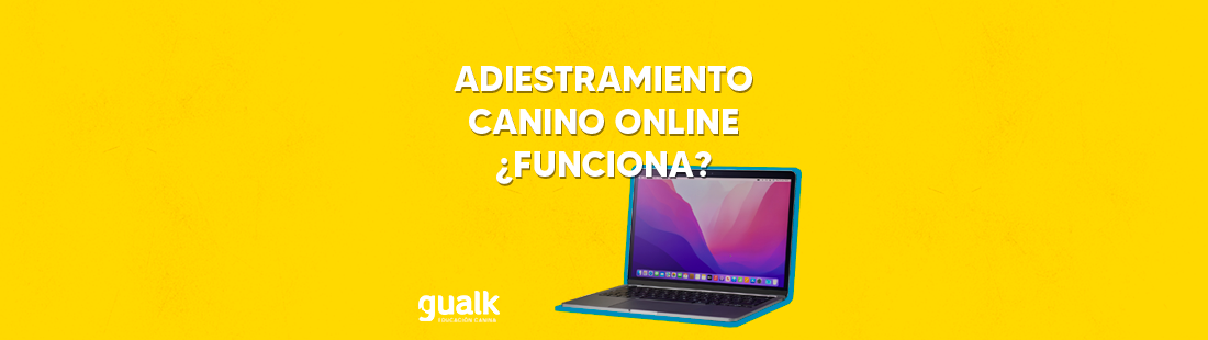 clases educacion canina online