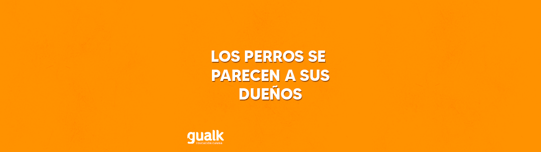 los perros se parecen a sus duenos gualk