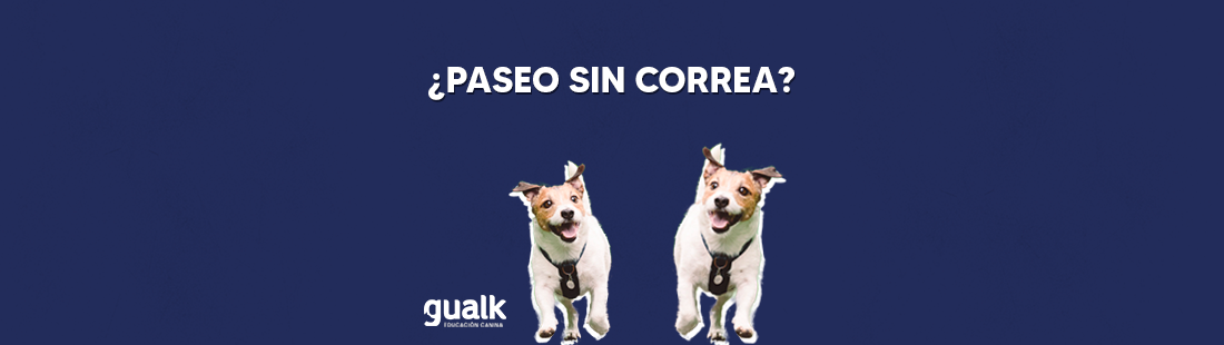pasear perro sin correa